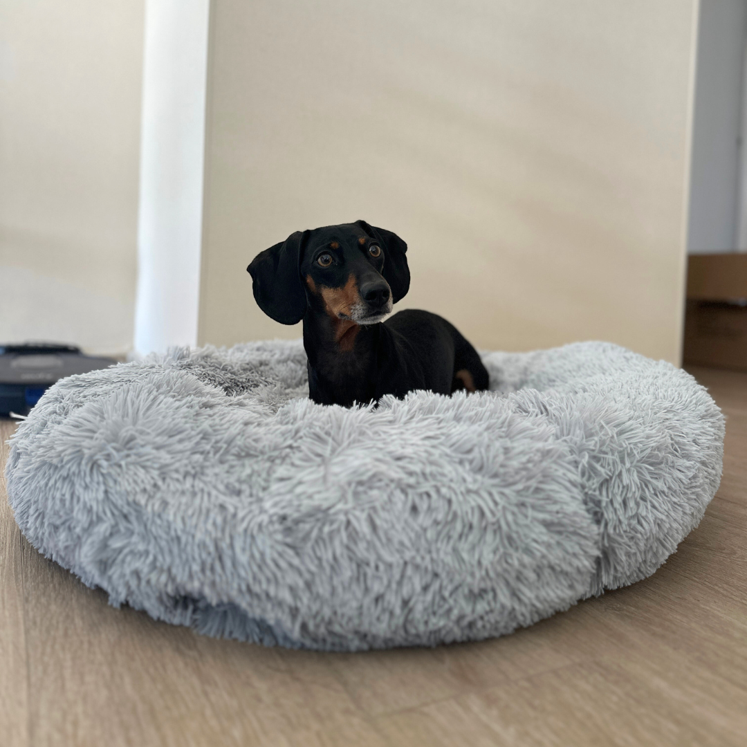 Cama Anti-Estrés de DOGBEDS: Relleno de algodón y Lavable.