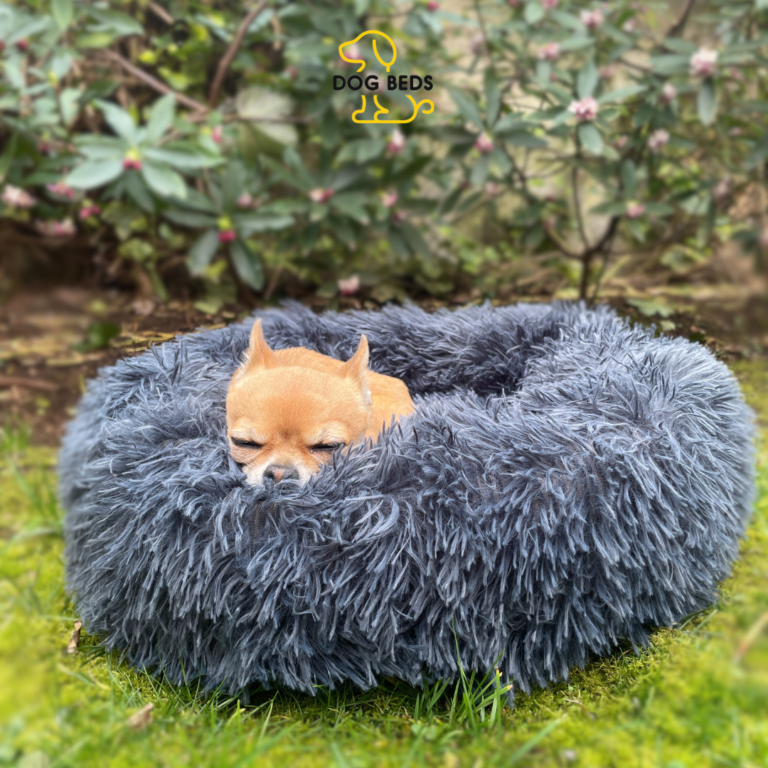 Cama Anti-Estrés de DOGBEDS: Relleno de algodón y Lavable.